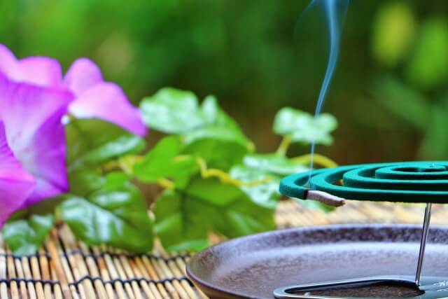 ゴミ屋敷を片付ける8ステップ