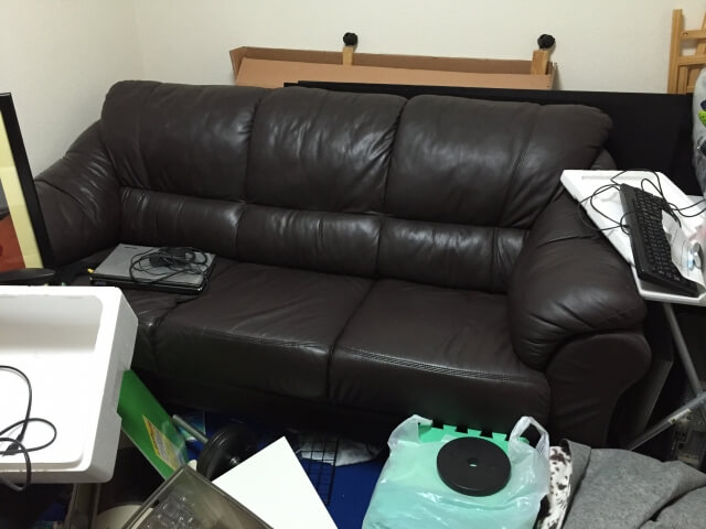 ゴミ屋敷がもたらす害虫