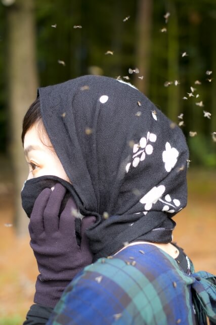 ゴミ屋敷の健康被害の問題