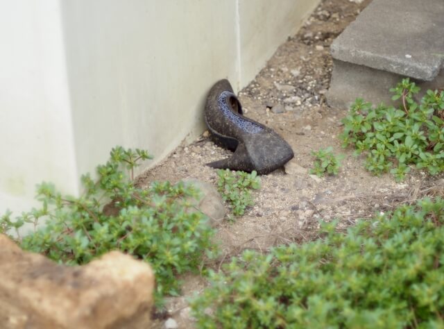 ゴミ屋敷になってしまう理由と問題