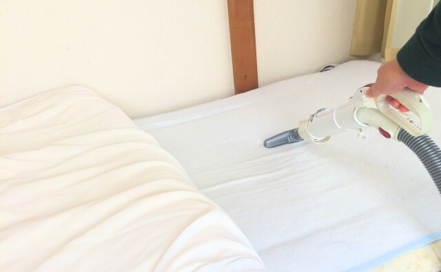 ダニの糞が引き起こす感染症