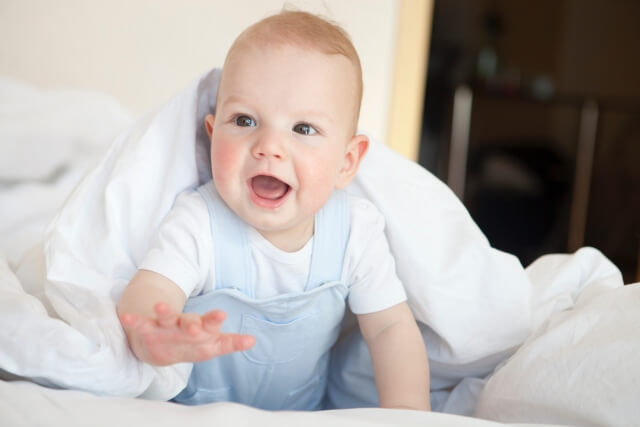 可燃ごみで出す方法