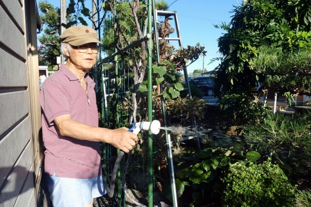 庭や植木の処分