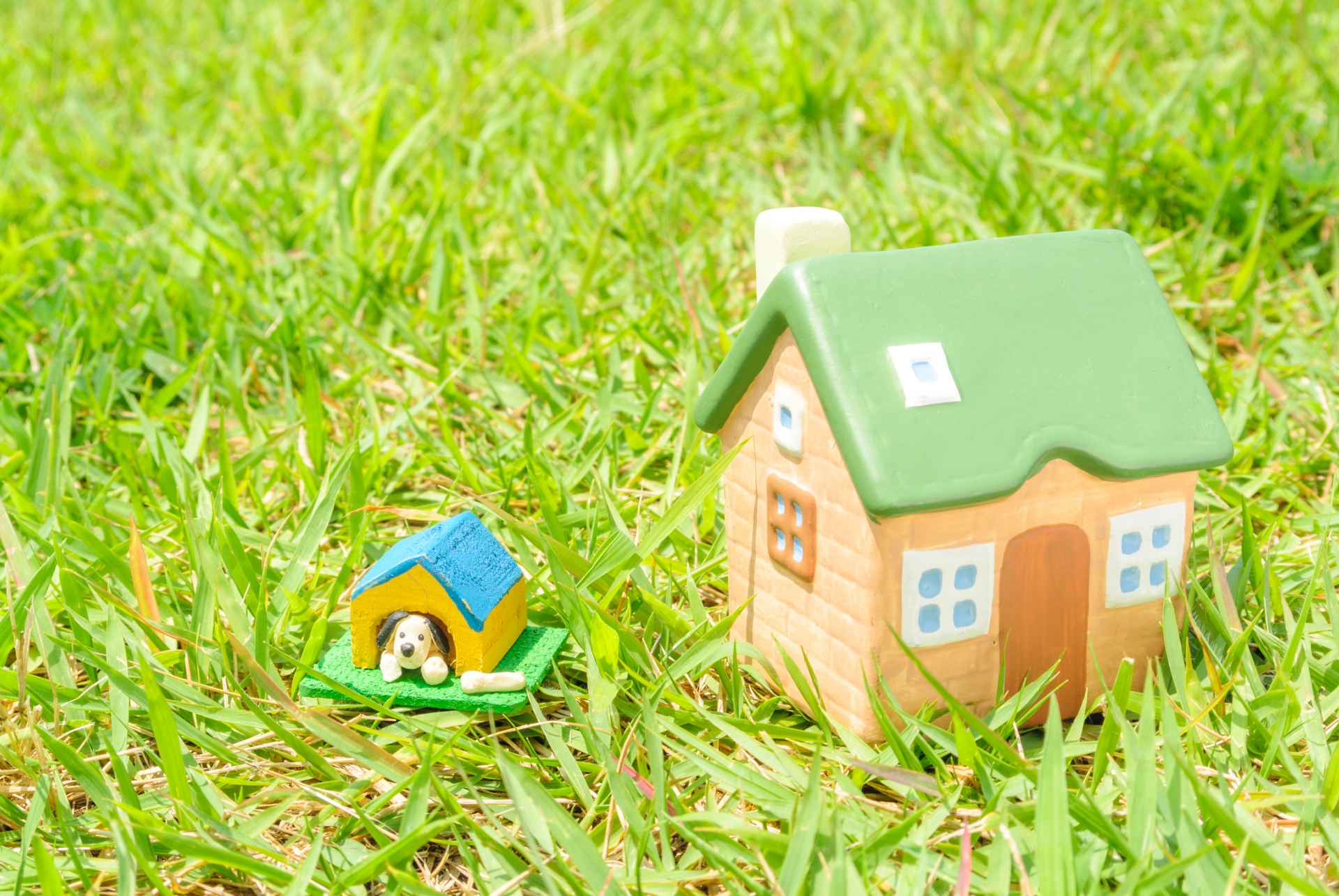 犬小屋の処分費用とは