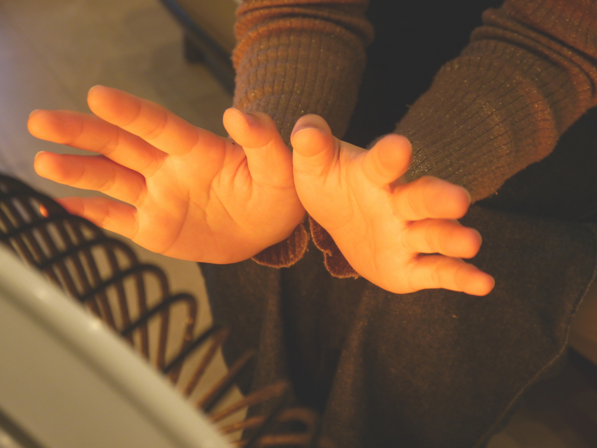 ハロゲンヒーターの引き取りサービスを利用する方法