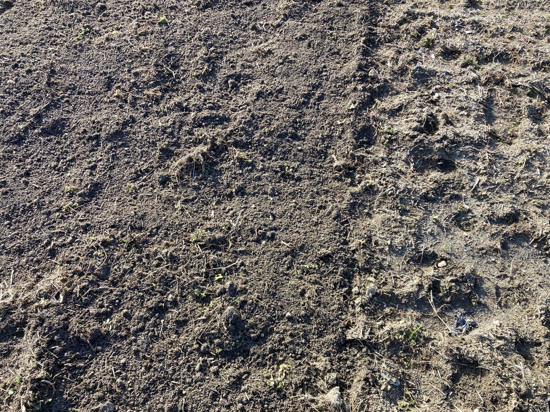 土を自然に帰すという捨て方とは